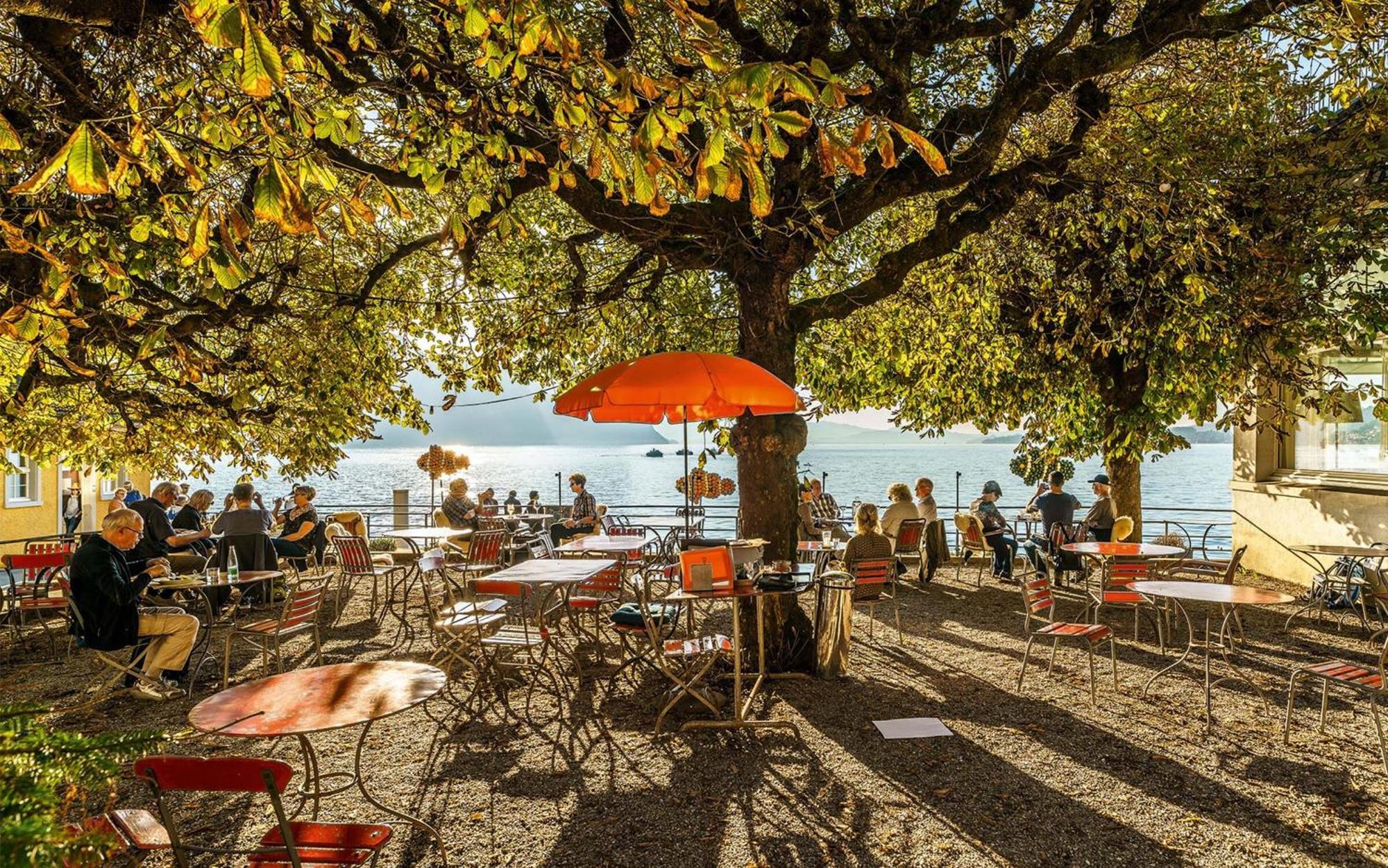Hotel Terrasse Am See Vitznau Eksteriør billede